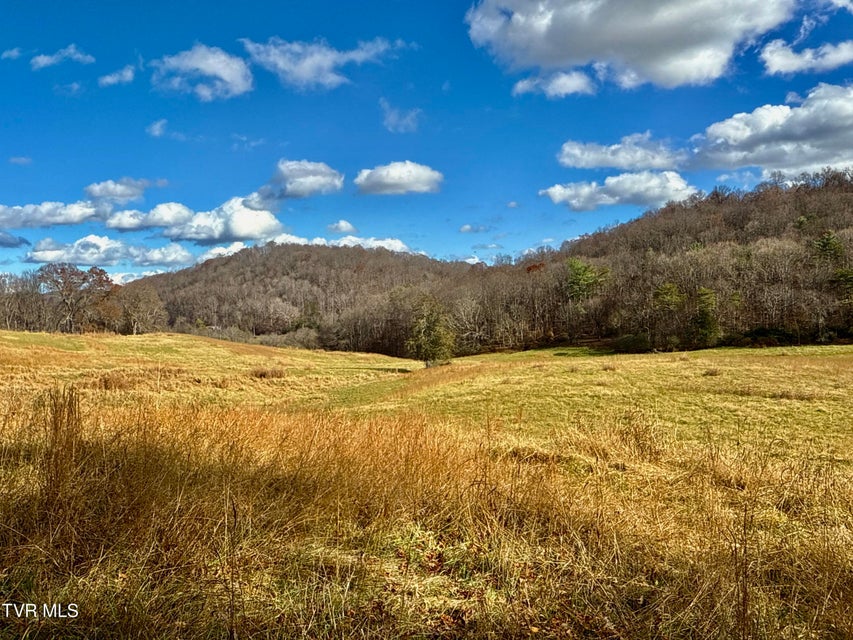 Photo #16: 1520 Brittontown Road