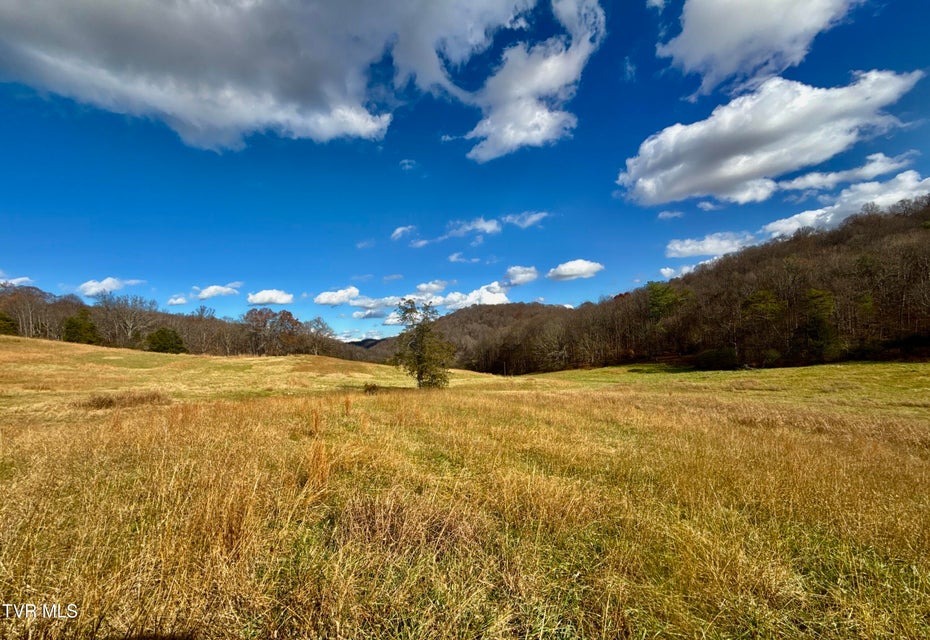 Photo #17: 1520 Brittontown Road