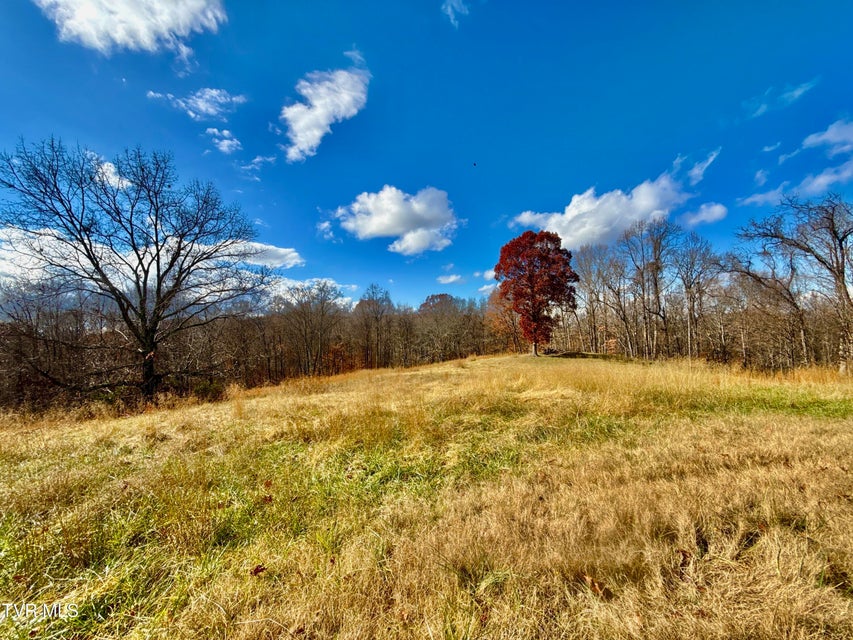 Photo #18: 1520 Brittontown Road