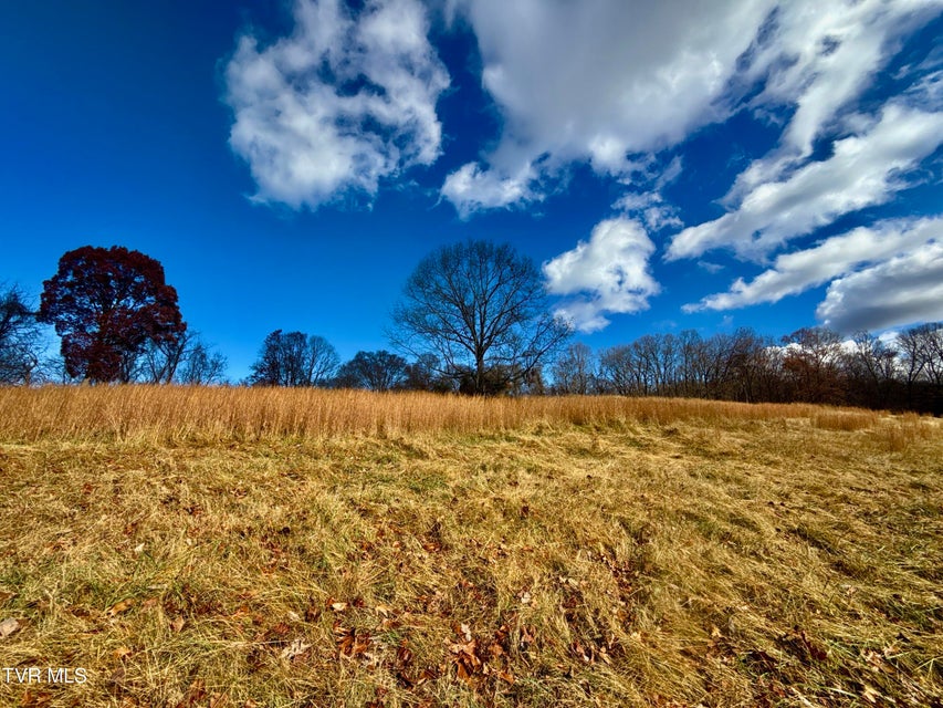 Photo #19: 1520 Brittontown Road