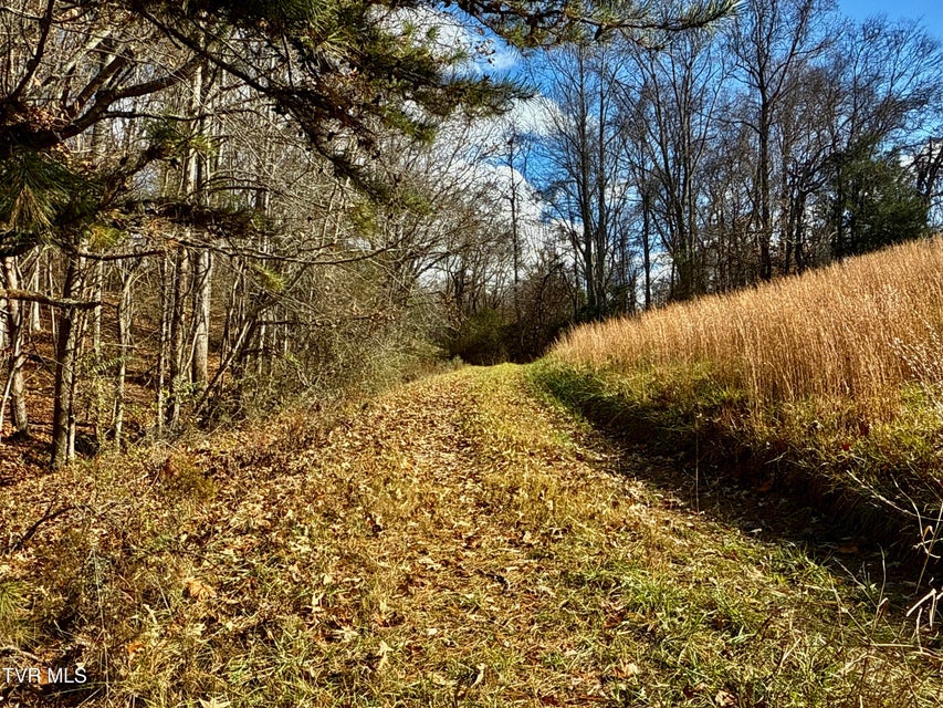 Photo #20: 1520 Brittontown Road