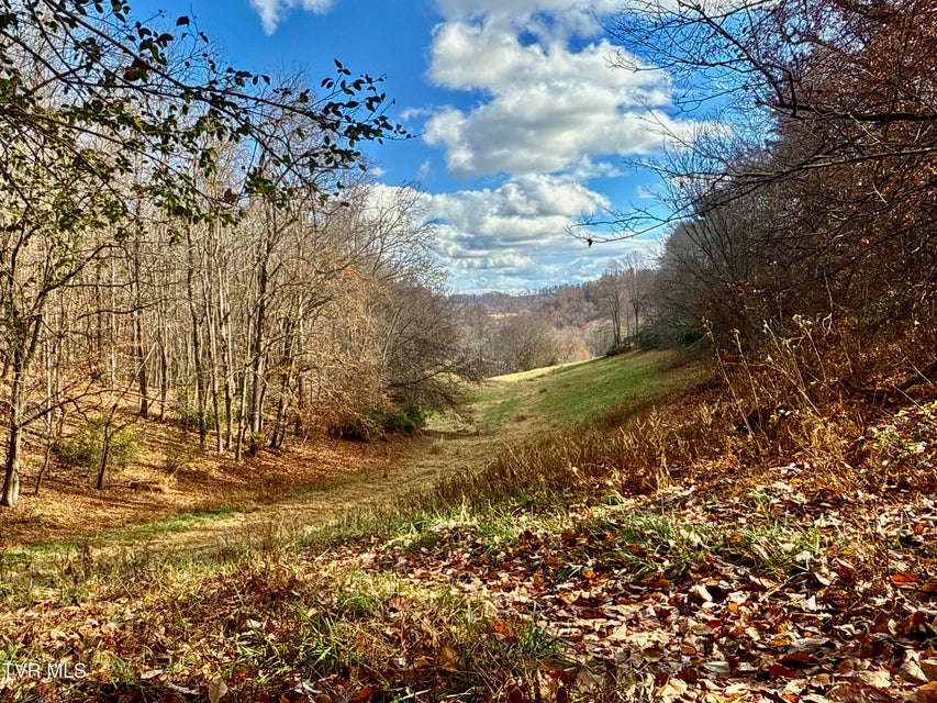 Photo #21: 1520 Brittontown Road