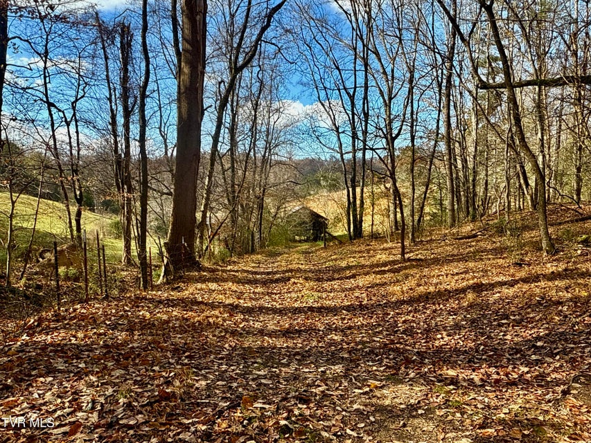 Photo #22: 1520 Brittontown Road