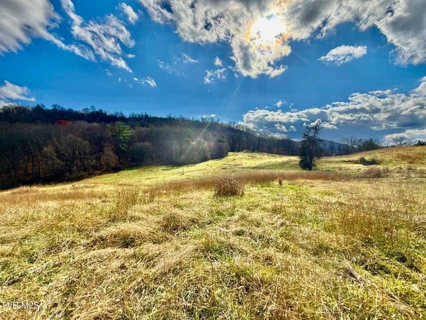 Photo #27: 1520 Brittontown Road