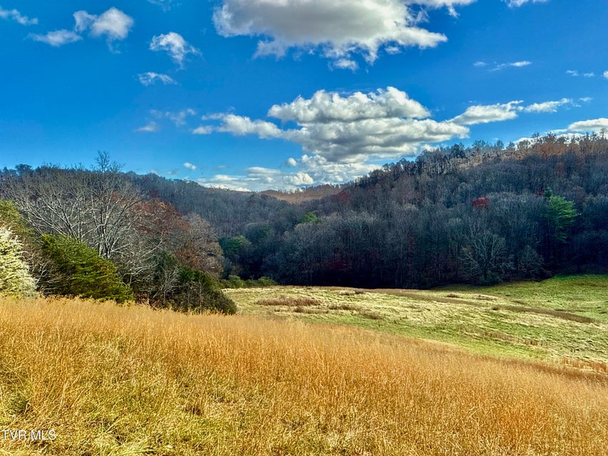 Photo #30: 1520 Brittontown Road