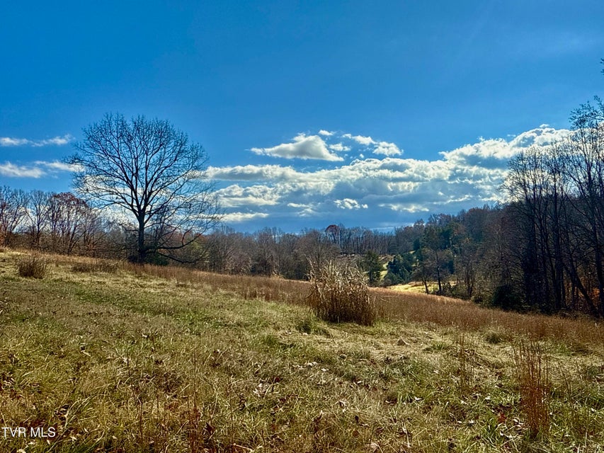 Photo #25: 1520 Brittontown Road