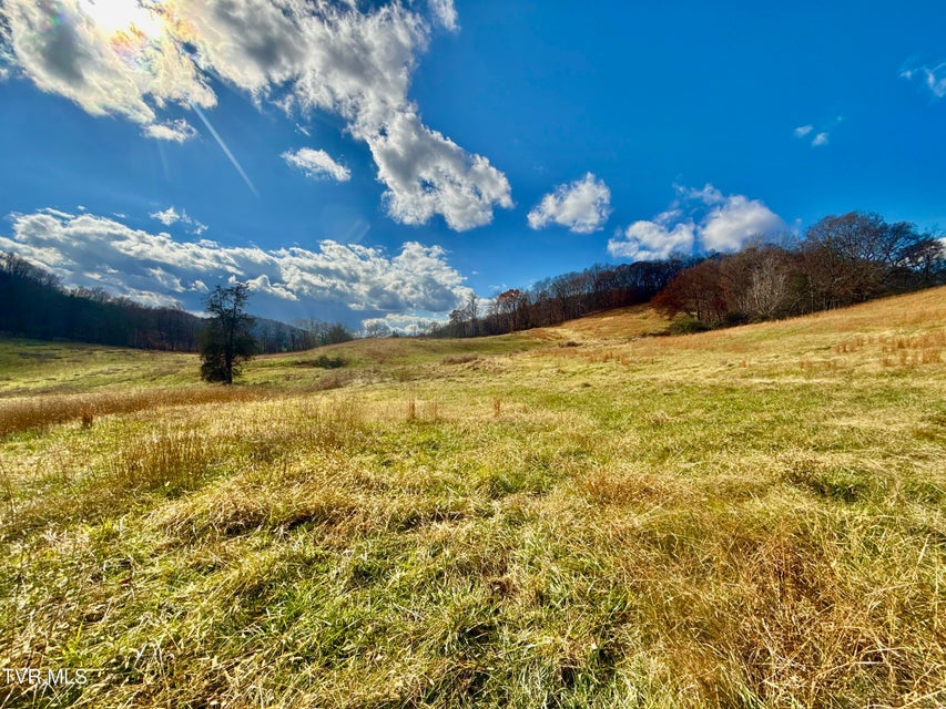 Photo #26: 1520 Brittontown Road