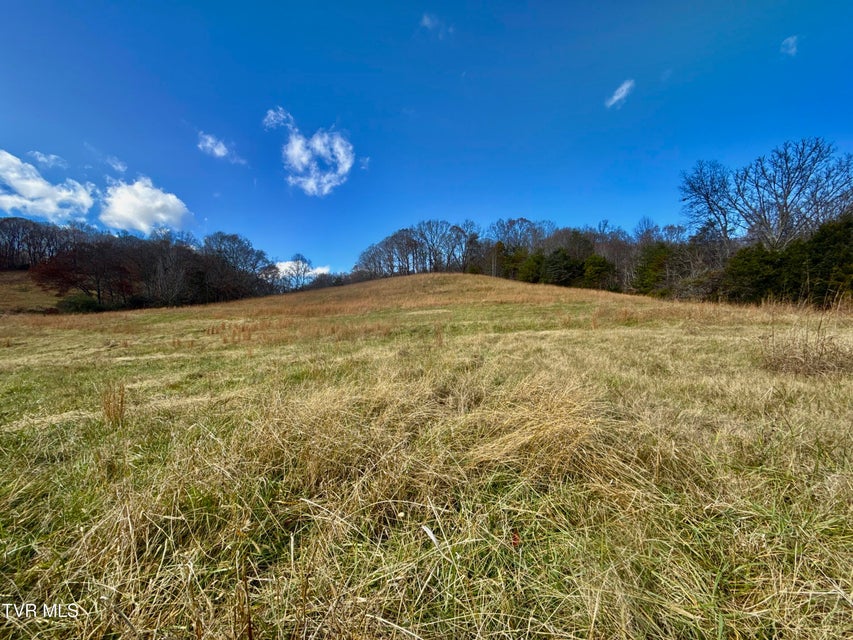 Photo #28: 1520 Brittontown Road