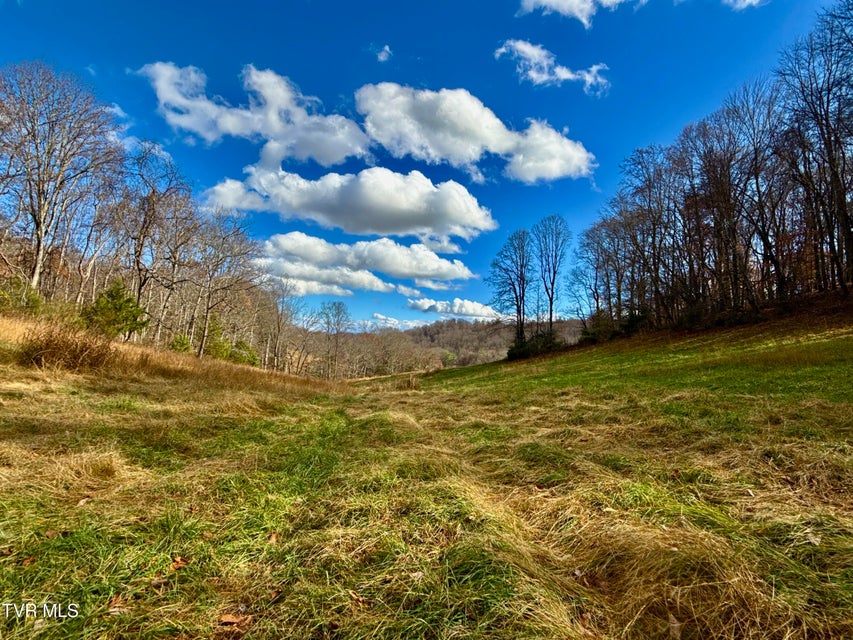 Photo #35: 1520 Brittontown Road