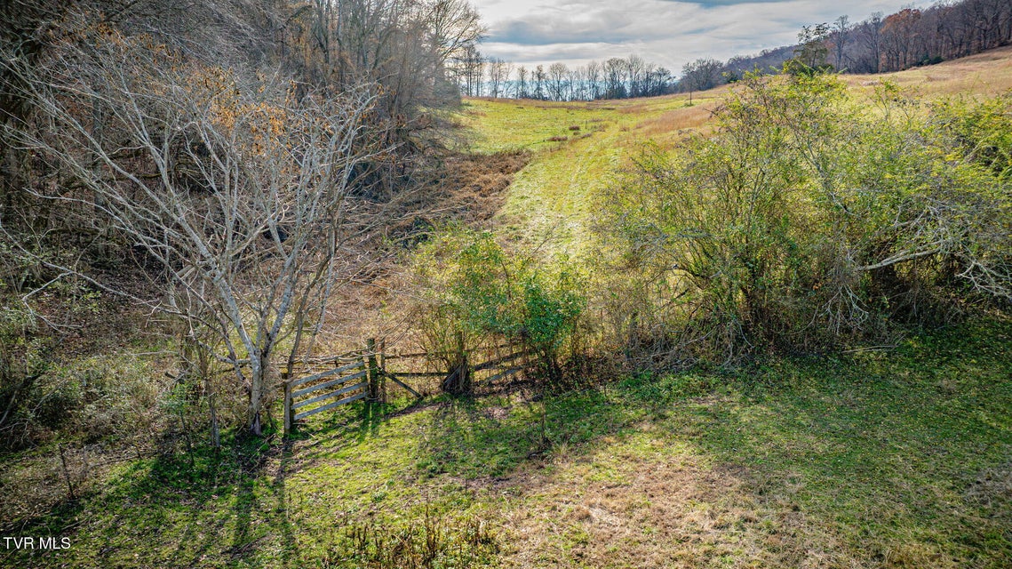 Photo #32: 1520 Brittontown Road