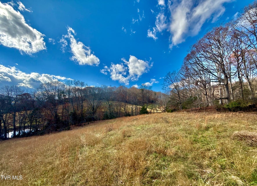 Photo #33: 1520 Brittontown Road