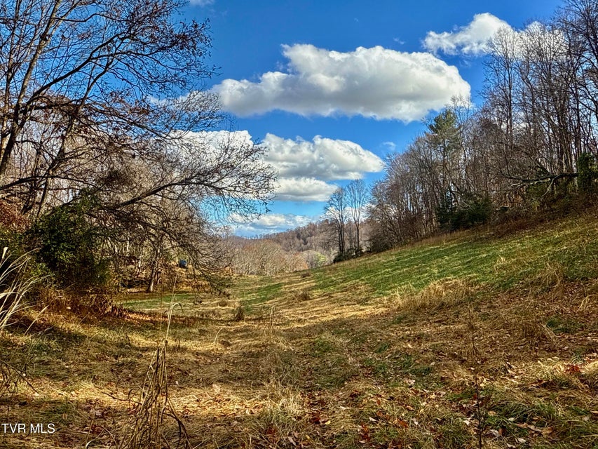 Photo #37: 1520 Brittontown Road