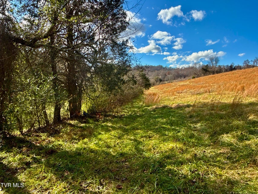 Photo #36: 1520 Brittontown Road