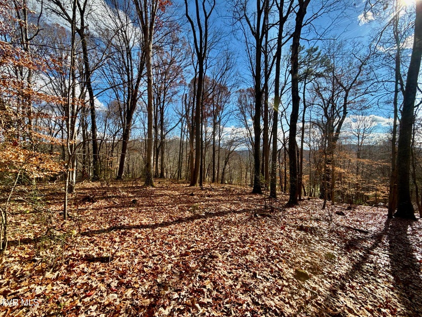 Photo #46: 1520 Brittontown Road