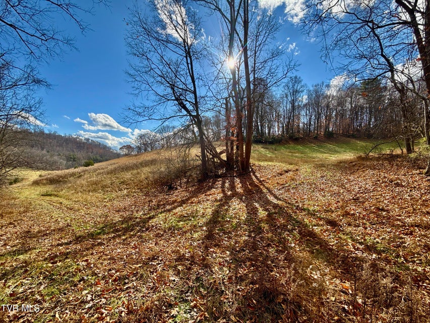 Photo #38: 1520 Brittontown Road