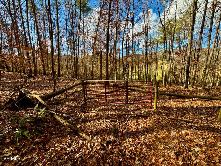 Photo #39: 1520 Brittontown Road