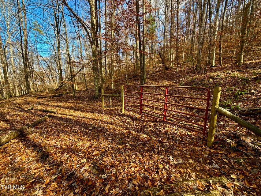 Photo #40: 1520 Brittontown Road