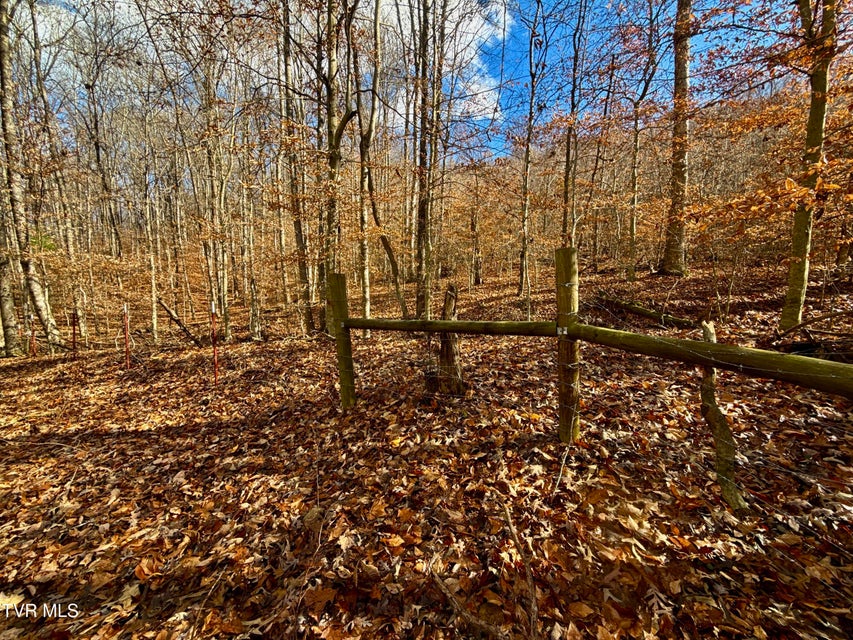 Photo #41: 1520 Brittontown Road