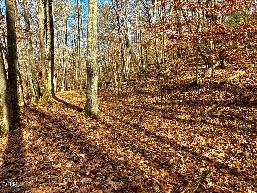 Photo #42: 1520 Brittontown Road