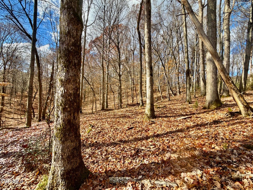 Photo #44: 1520 Brittontown Road