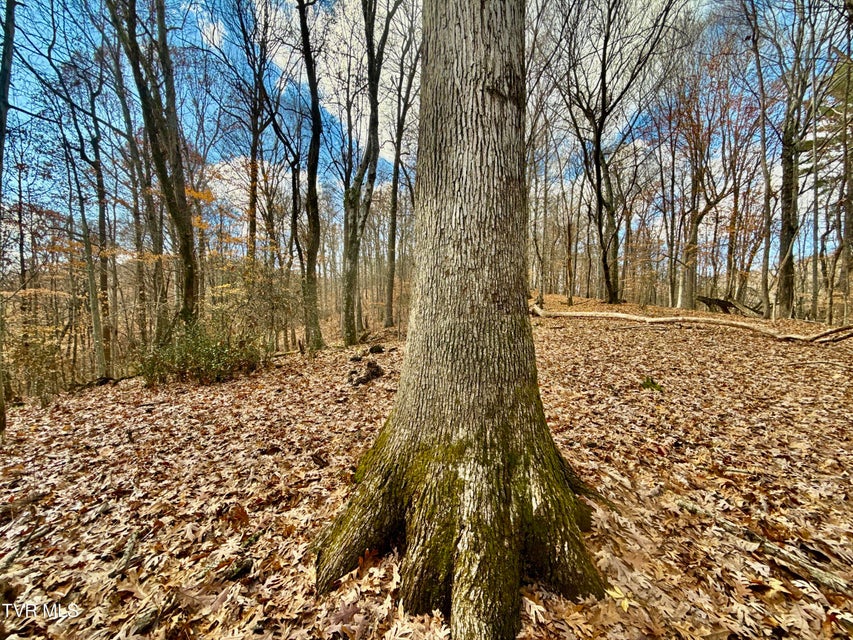 Photo #47: 1520 Brittontown Road