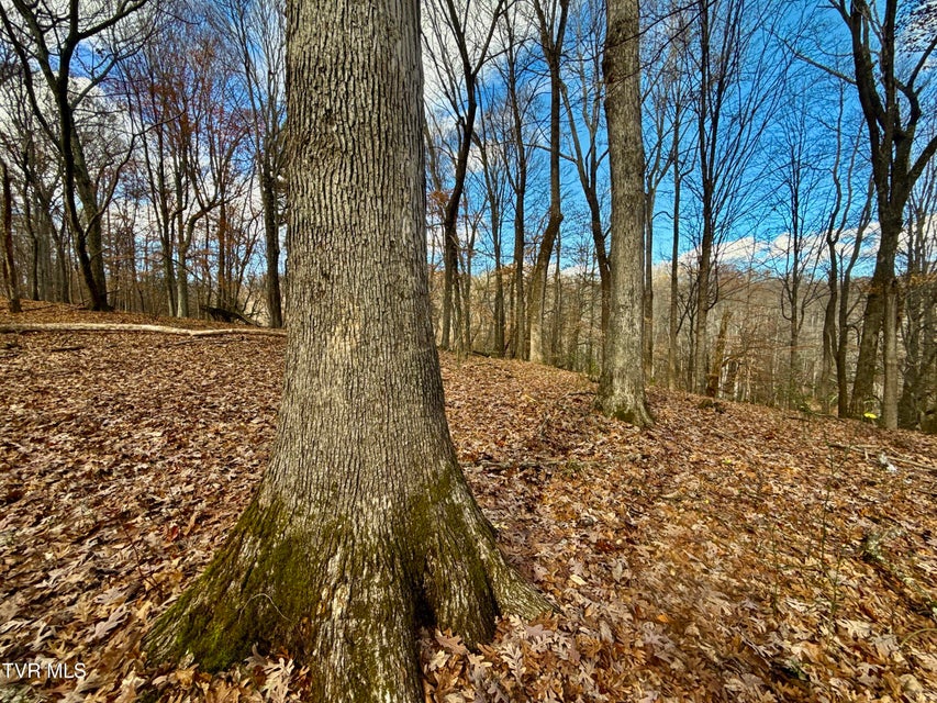 Photo #48: 1520 Brittontown Road