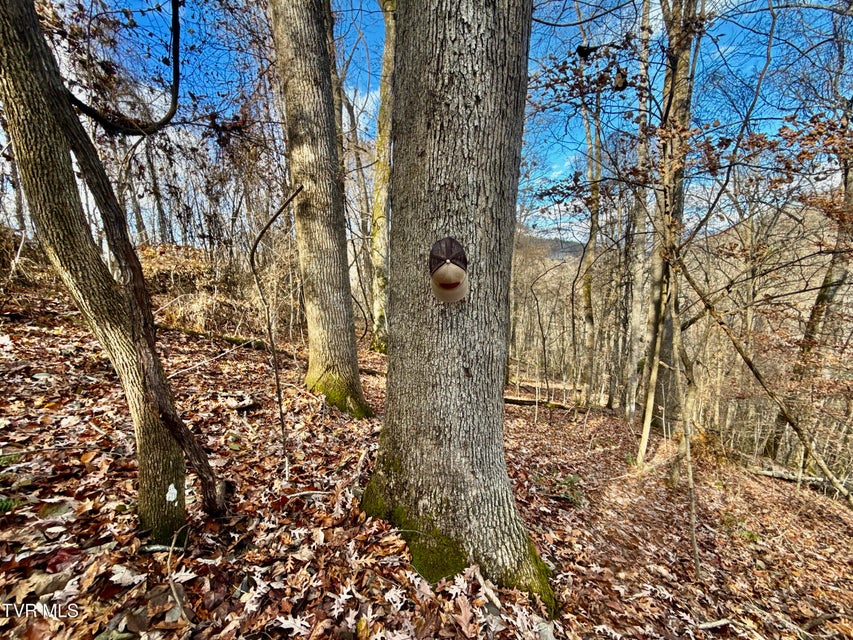 Photo #51: 1520 Brittontown Road