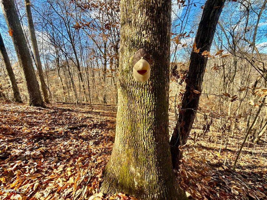 Photo #52: 1520 Brittontown Road