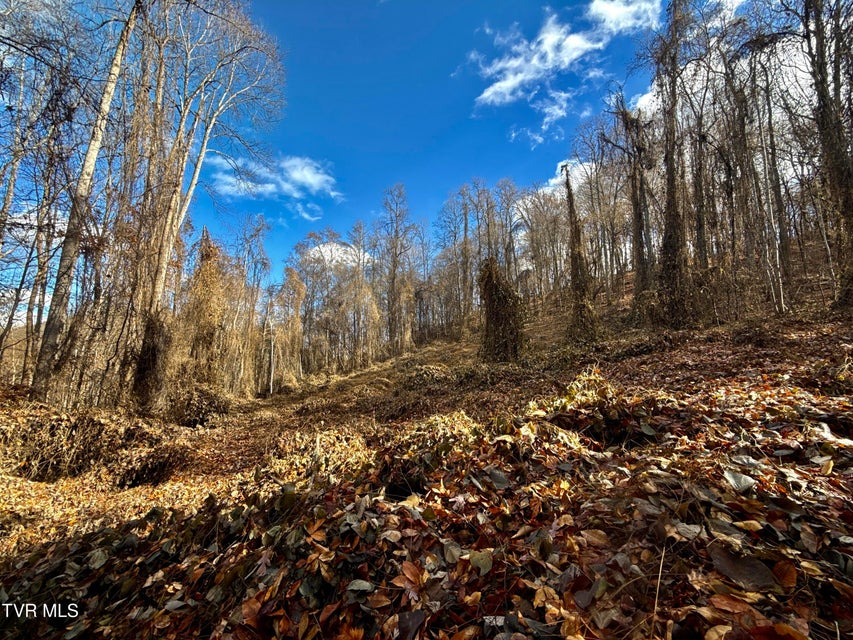 Photo #53: 1520 Brittontown Road