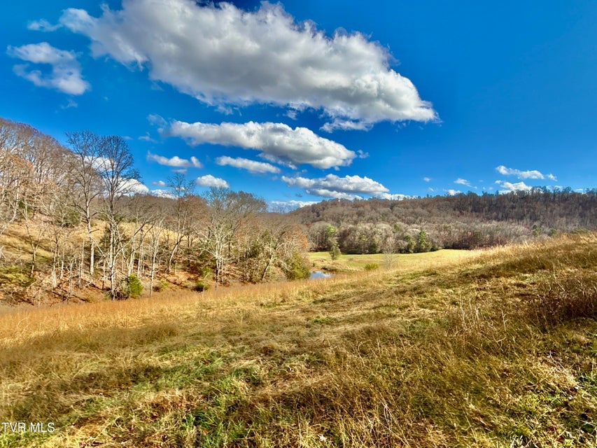 Photo #56: 1520 Brittontown Road