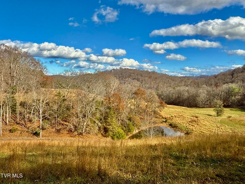 Photo #57: 1520 Brittontown Road