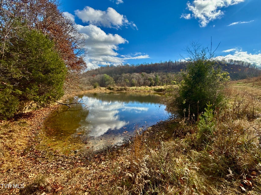 Photo #58: 1520 Brittontown Road