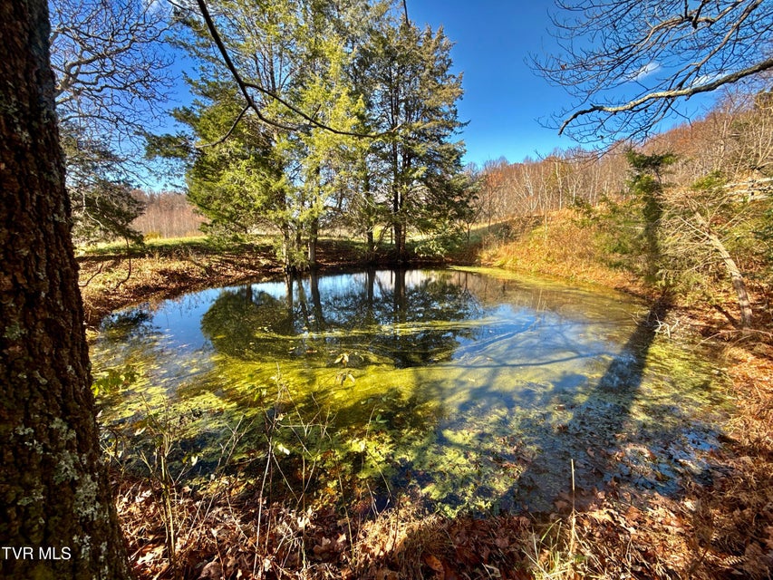 Photo #59: 1520 Brittontown Road