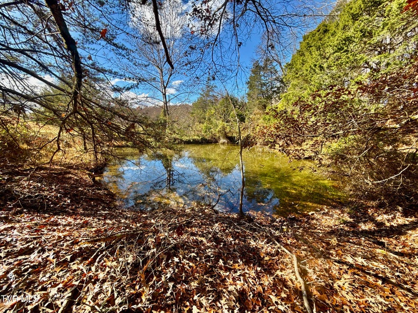 Photo #60: 1520 Brittontown Road