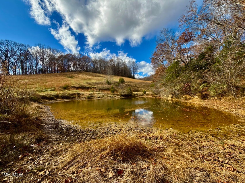 Photo #61: 1520 Brittontown Road