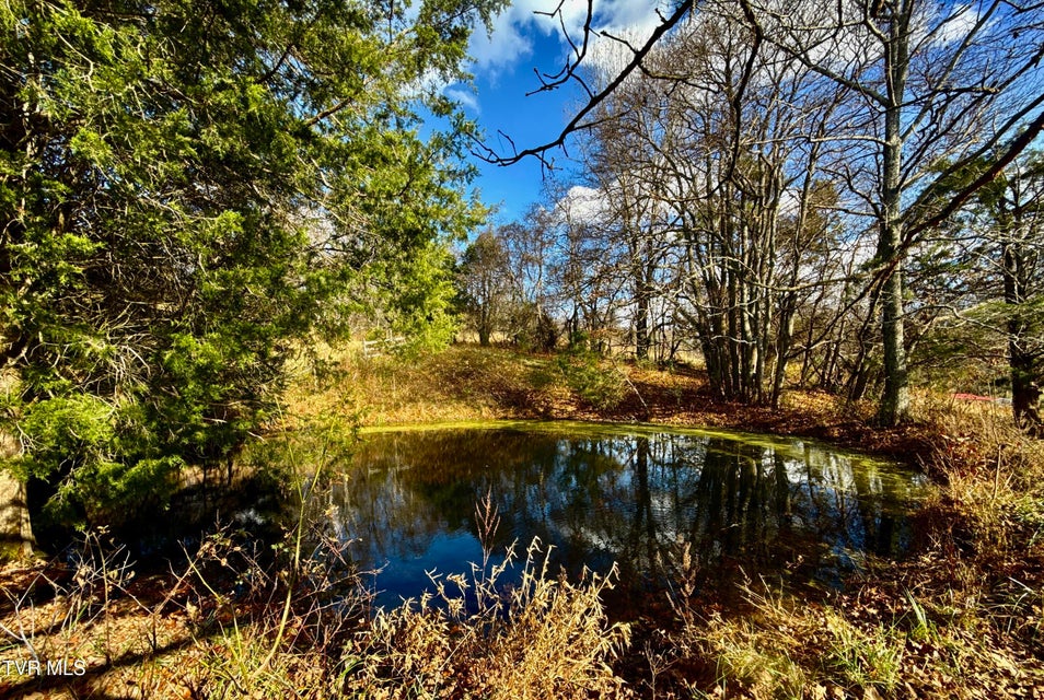 Photo #62: 1520 Brittontown Road