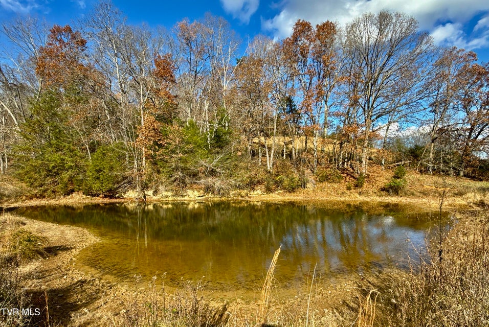 Photo #63: 1520 Brittontown Road