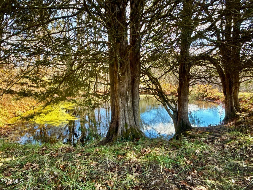 Photo #64: 1520 Brittontown Road