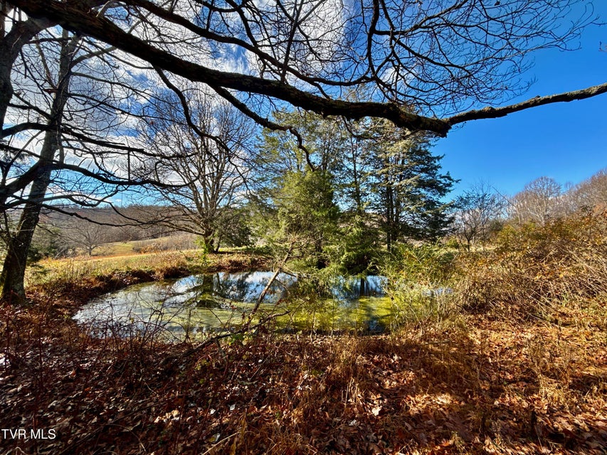 Photo #65: 1520 Brittontown Road