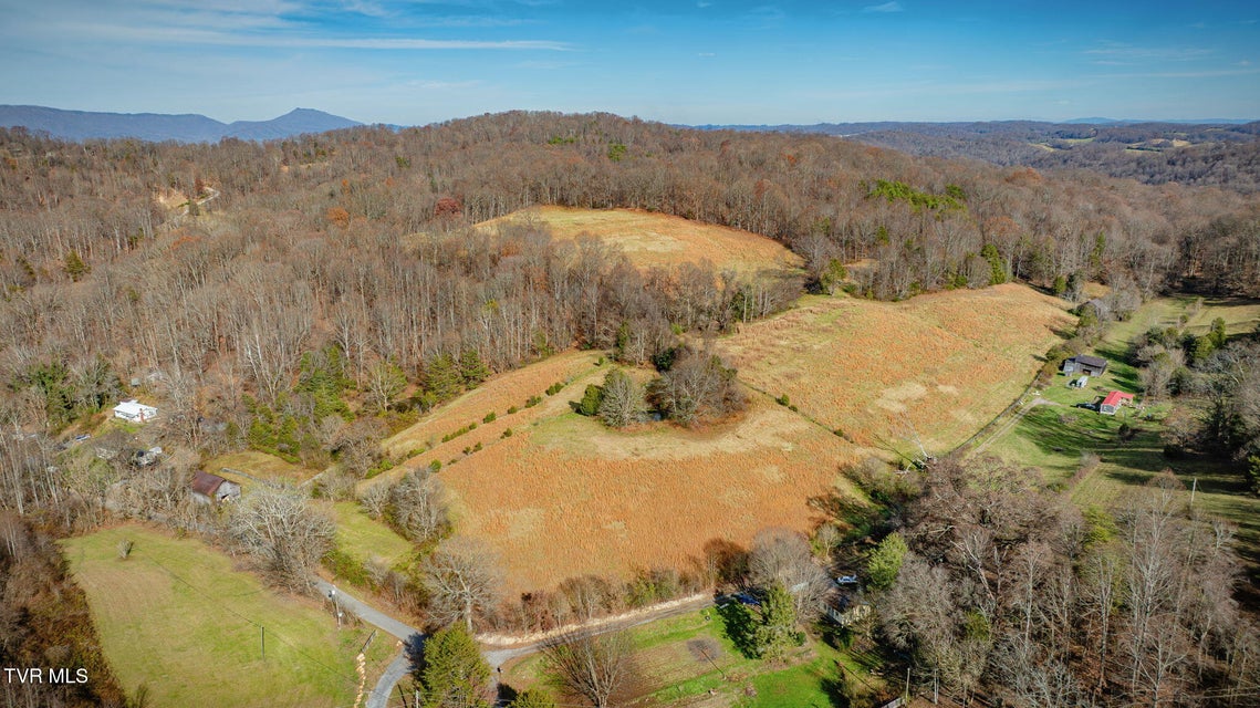 Photo #66: 1520 Brittontown Road