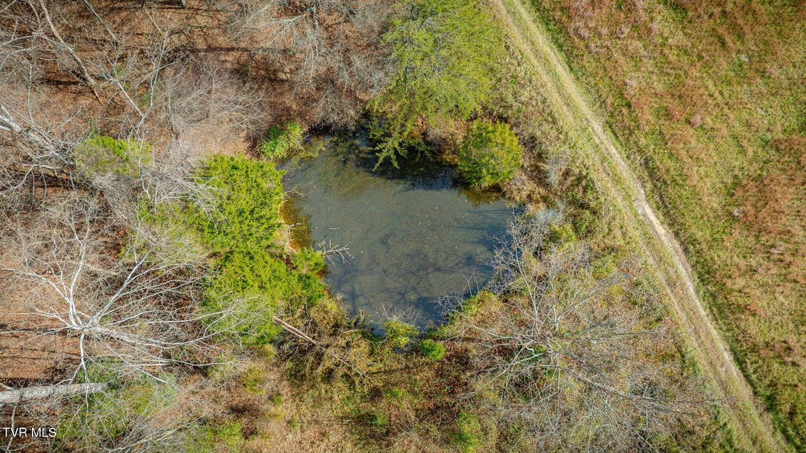 Photo #77: 1520 Brittontown Road