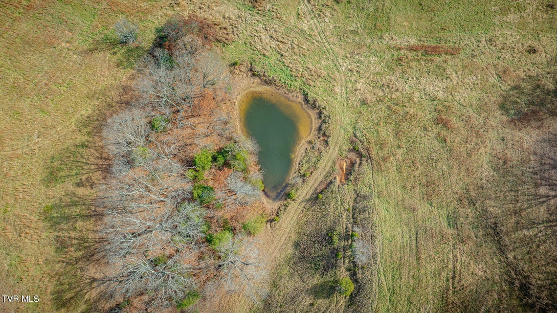 Photo #78: 1520 Brittontown Road