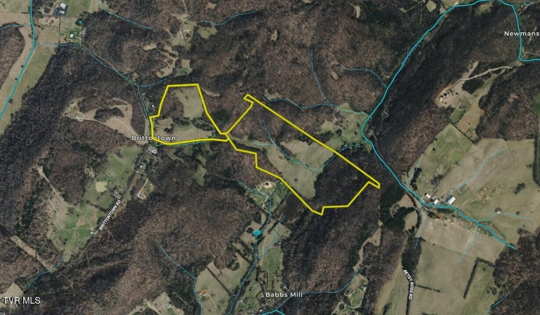 Photo #79: 1520 Brittontown Road