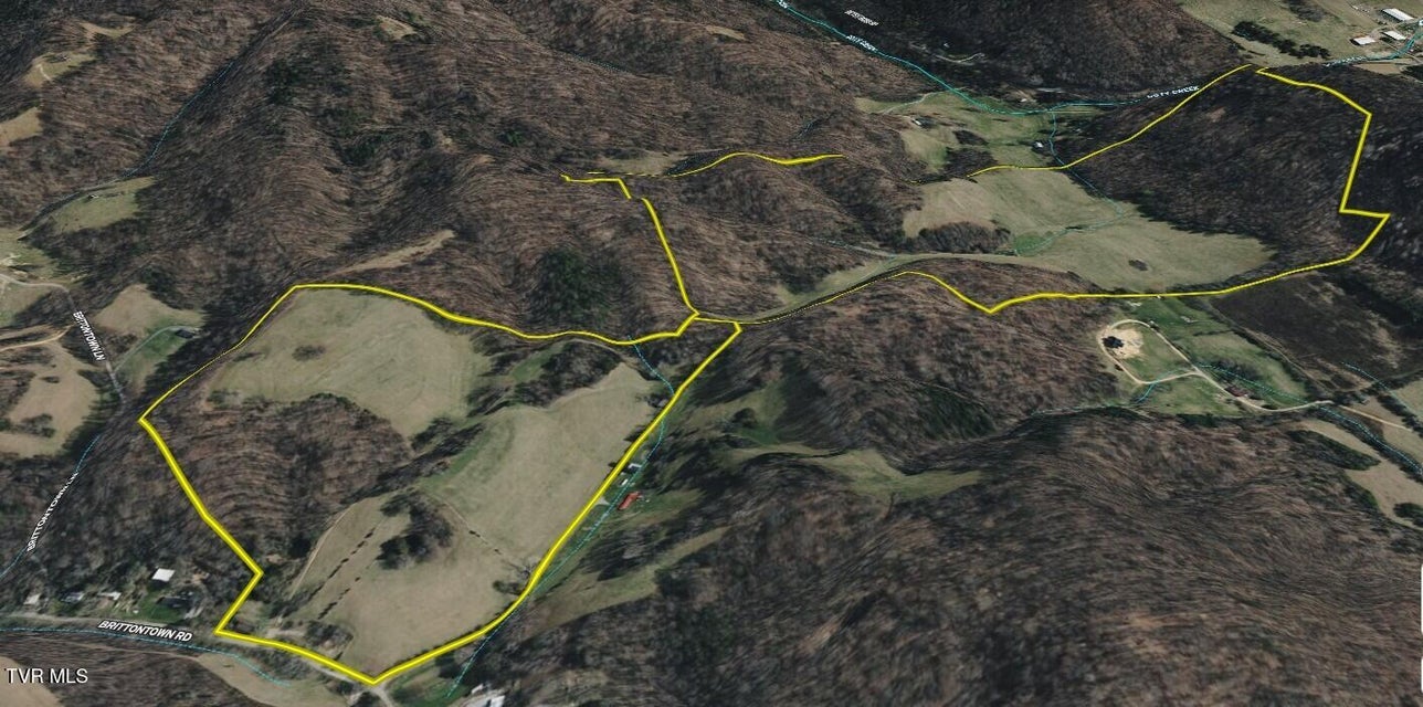 Photo #84: 1520 Brittontown Road