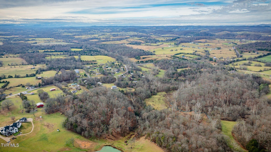 Photo #13: 987 TN-81 