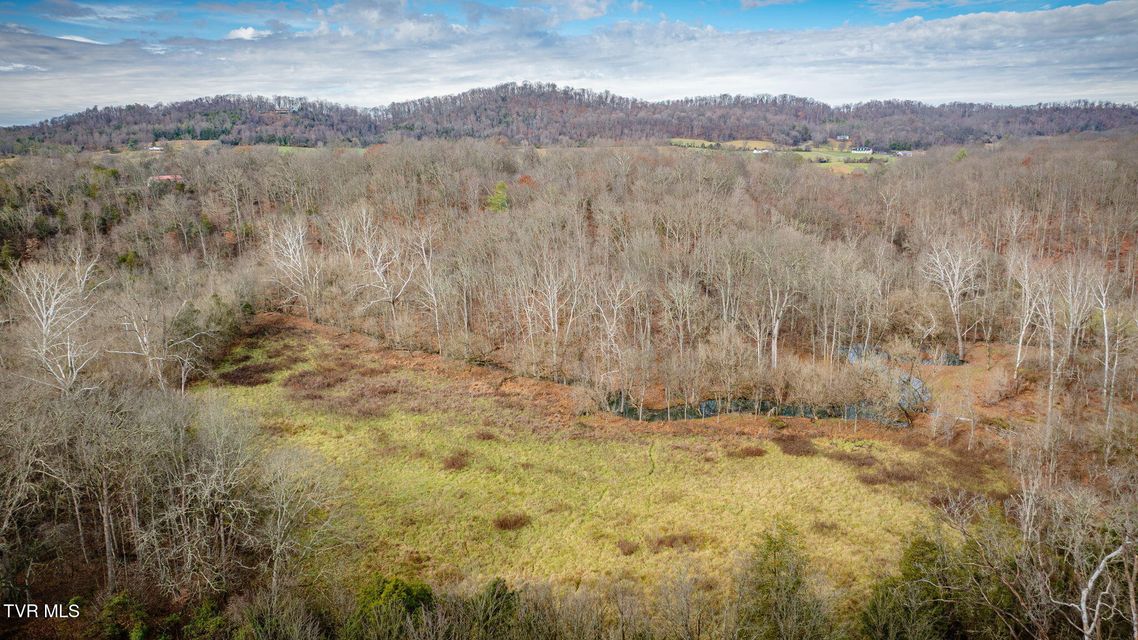 Photo #14: 987 TN-81 