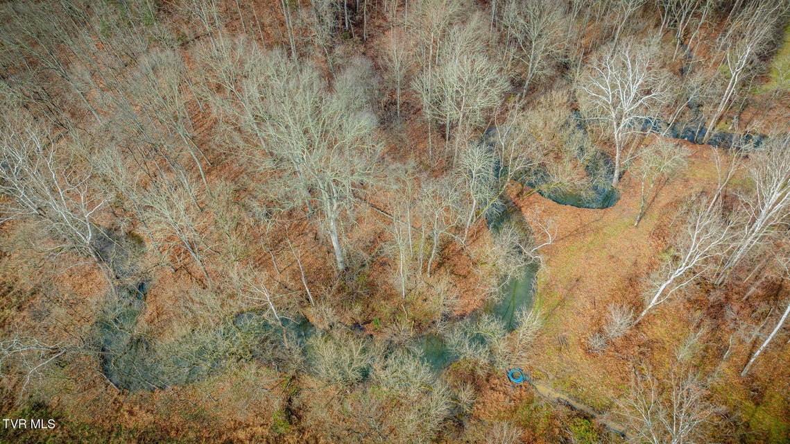 Photo #15: 987 TN-81 