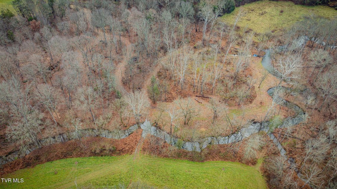 Photo #16: 987 TN-81 