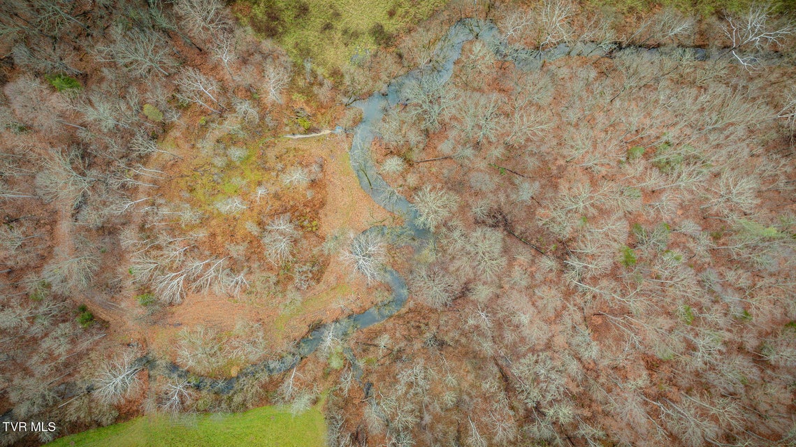 Photo #17: 987 TN-81 