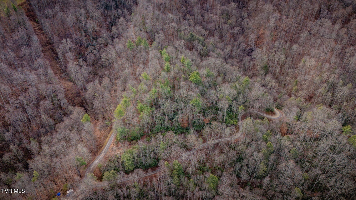 Photo #3: Tbd Heaton Branch Road 